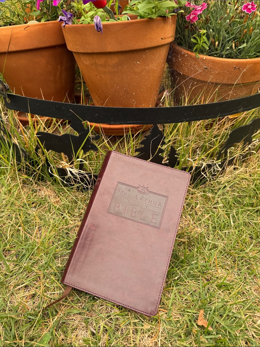 Daily Bible in Burgundy Faux-Leather